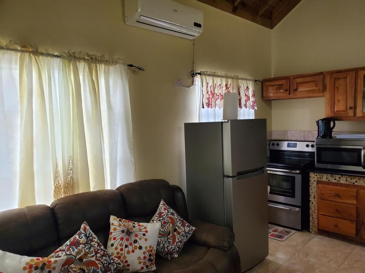 Suitetrails - Wizzy Apartment Portmore