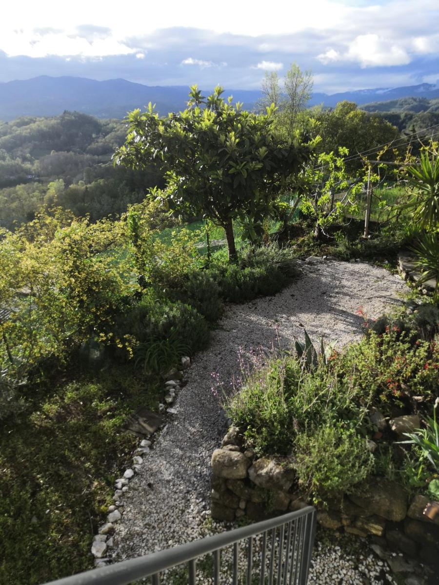 Olivola : maison entière dans un cadre magnifique - Housity