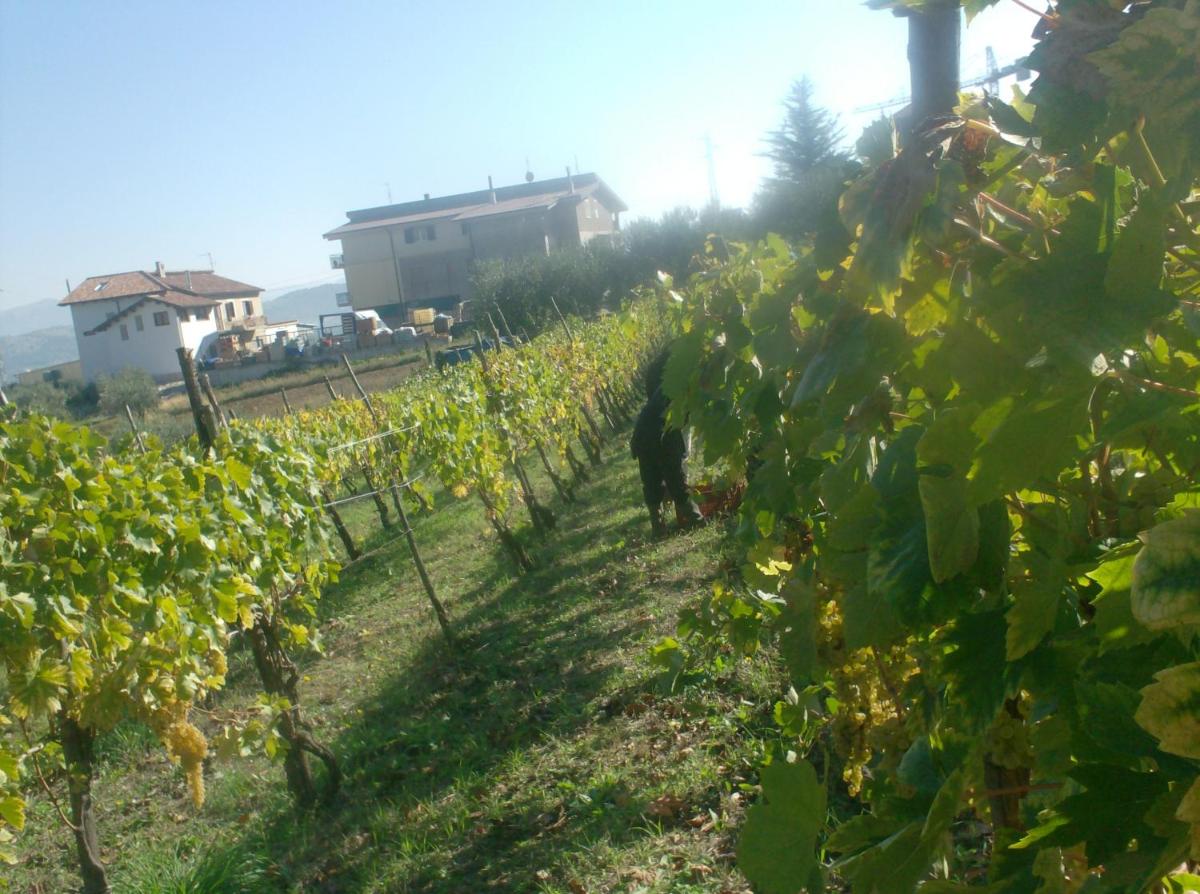 il sentiero del riccio - Housity
