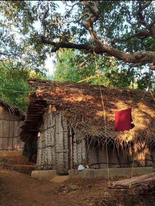 Bindhya Huts - Housity