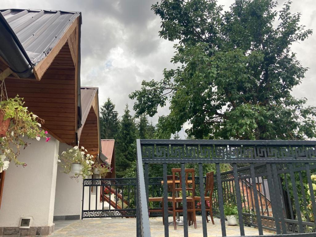 Bujtina Arturi - Hizvo