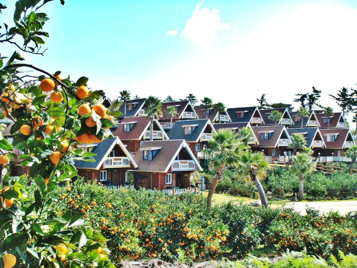 Jungmun Log Pension & Resort - Housity