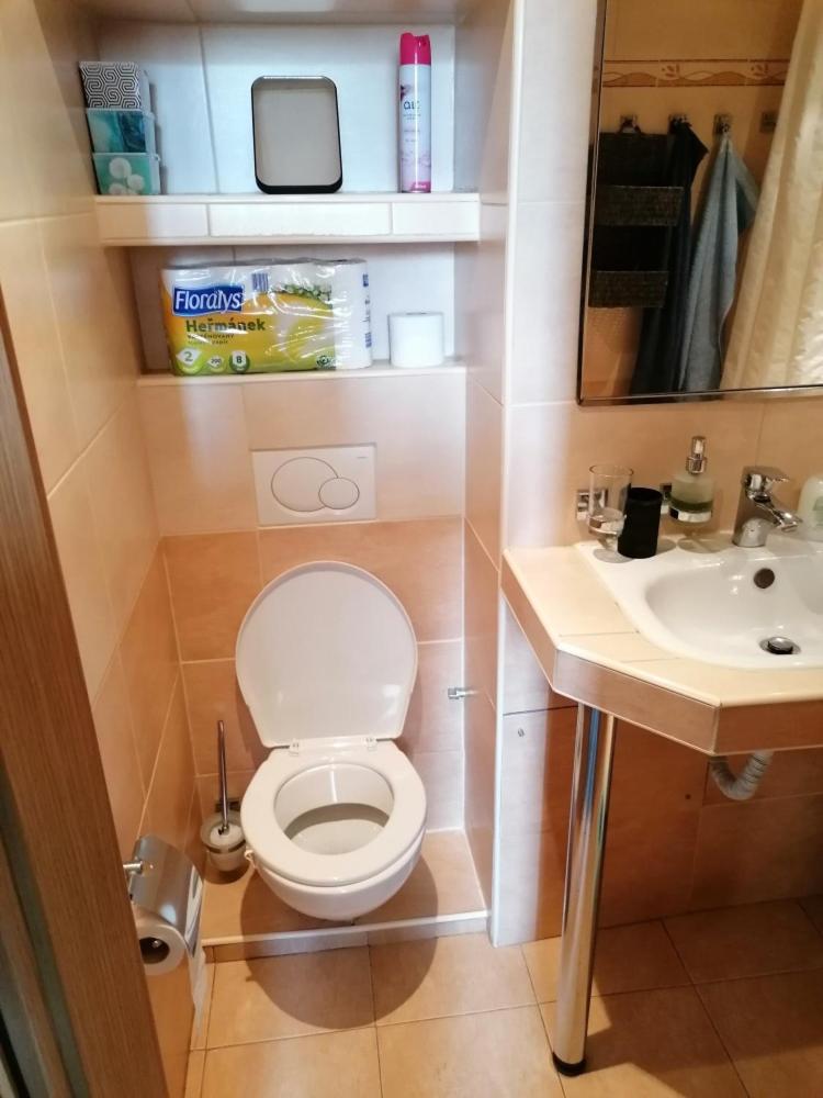 Soukromý byt 2+KK Vysočany,10 min od centra Prahy. - Housity