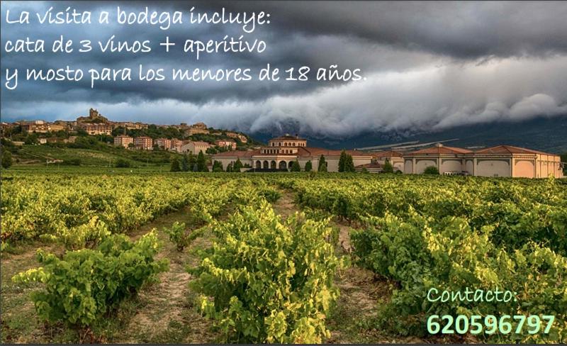 La Puerta de Viana, con desayuno, piscina y posibilidad Visita a bodega! - Housity