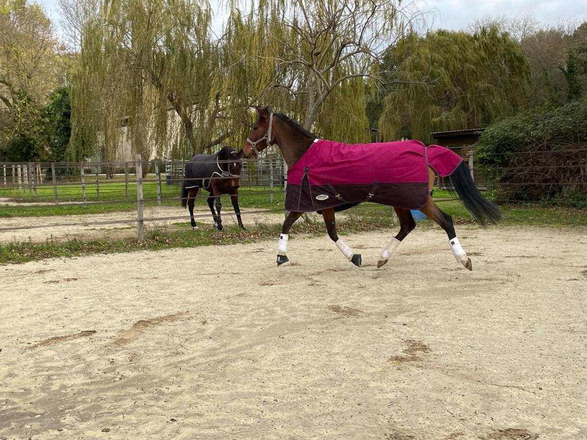 Bastidette Florestane - Housity