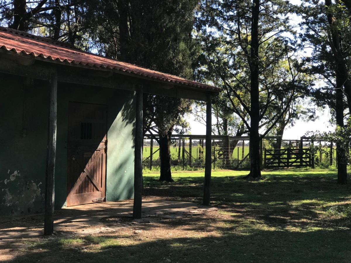 Haras Maguill - Housity