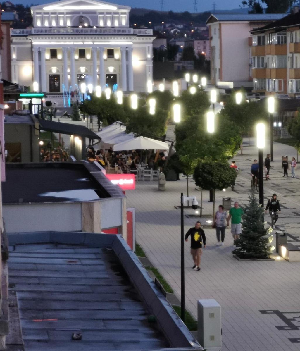 Apartament Ultra central HD - Housity
