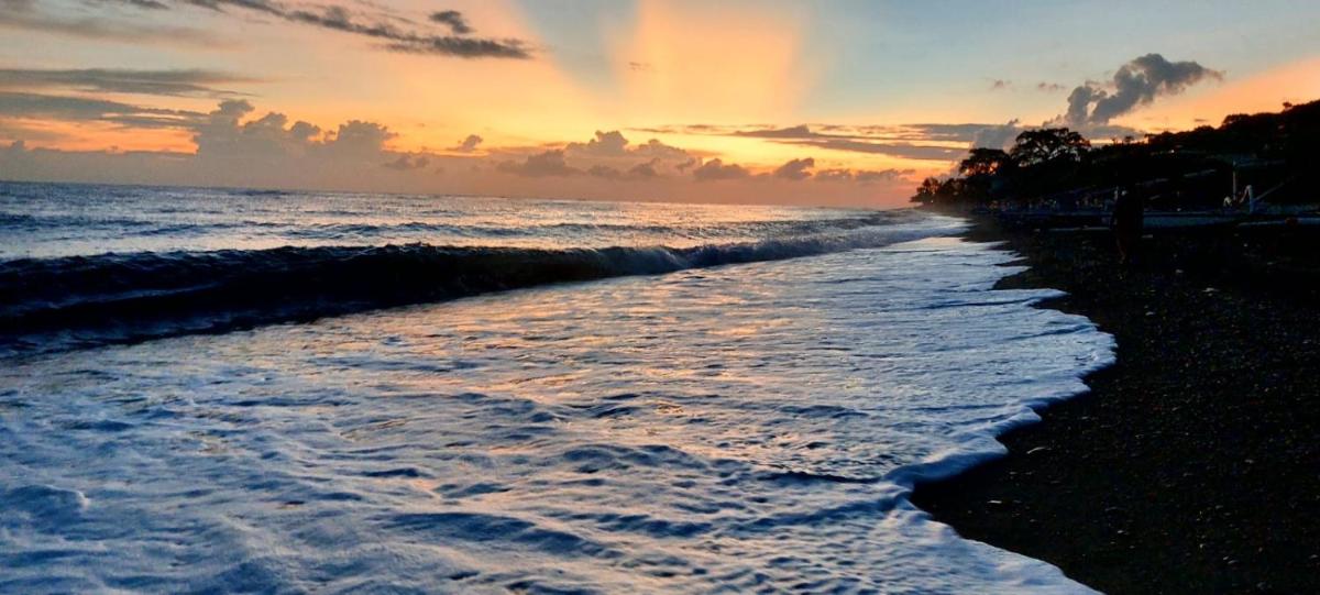 Isin Gumi Homestay - Housity