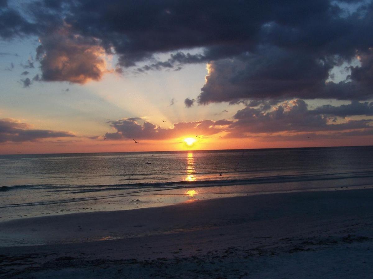 Tropical Beach Resorts - Sarasota - Housity