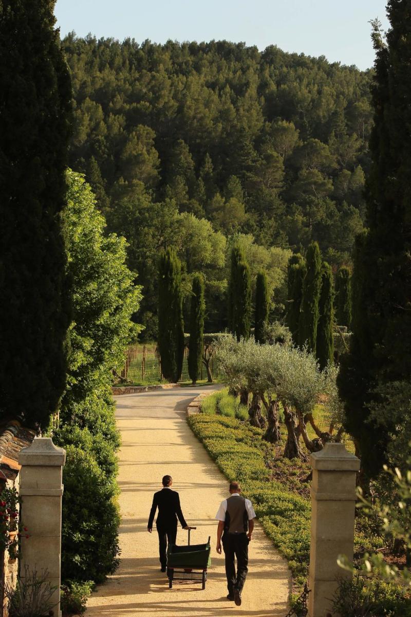 Animal ou animaux domestique(s) séjournant avec des clients dans l'établissement Château de Berne