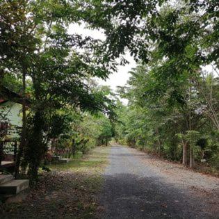 Suankafae Resort สวนกาแฟรีสอร์ท - Housity