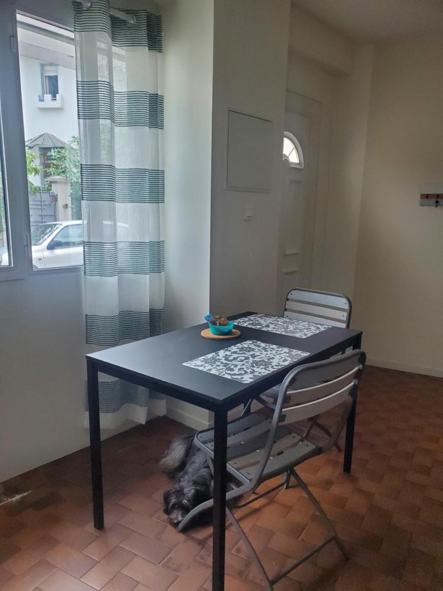 Dolphin's B&B - Hizvo