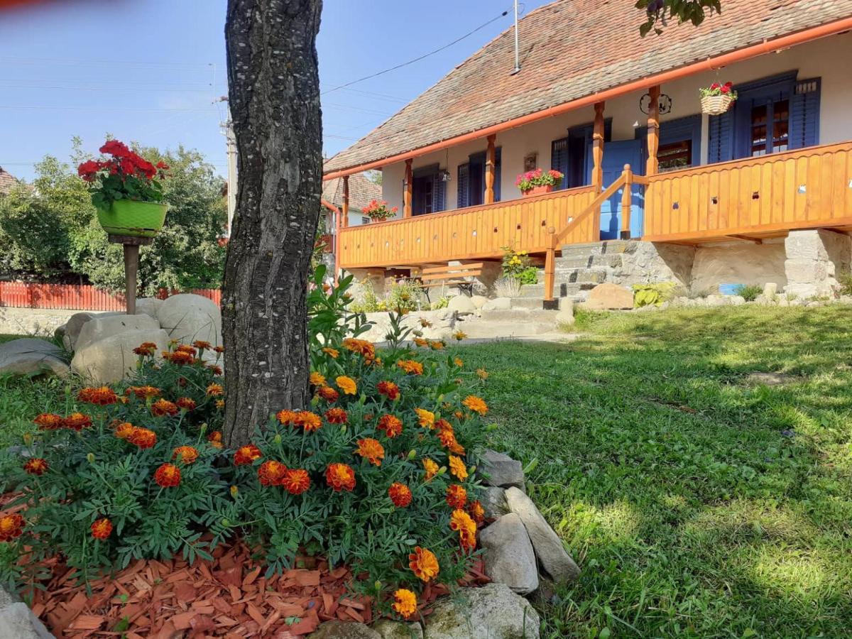 Siklód. Botond Panoráma Kulcsosház (6 fő) Botond Panoramic Chalet - Housity