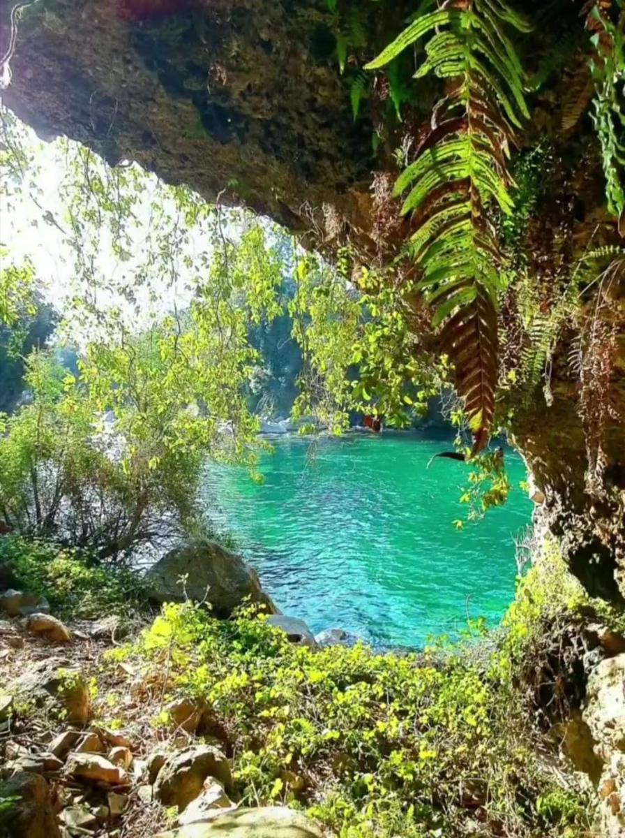 Refugio del Salto -Radal 7 tazas - Housity