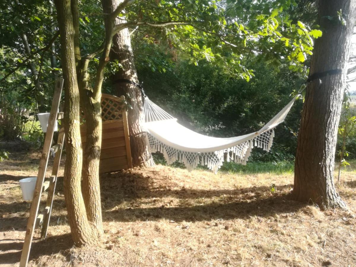 Haus am See (Teich) - Housity