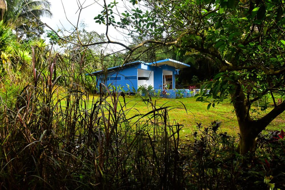 2BR Fabulous Blue House near QueposMA - Housity
