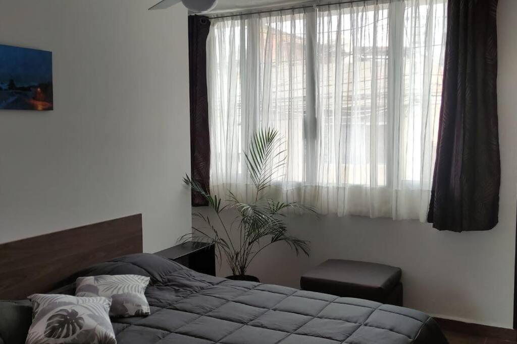 Departamento completo de Alfredo en Morelia Michoacán, Mexico - Housity