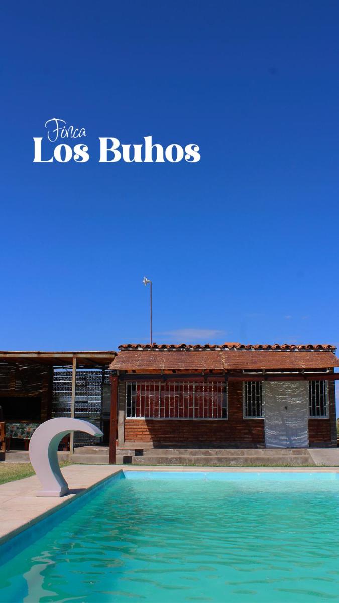 Los Búhos - Housity