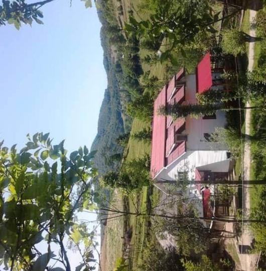 Căsuța Moțului - Housity