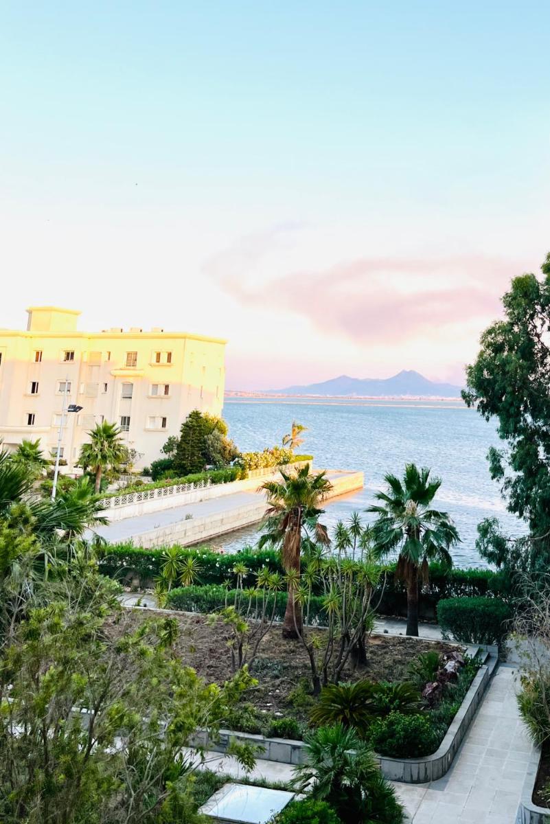 One Bedroom With a View Lac1 - Housity