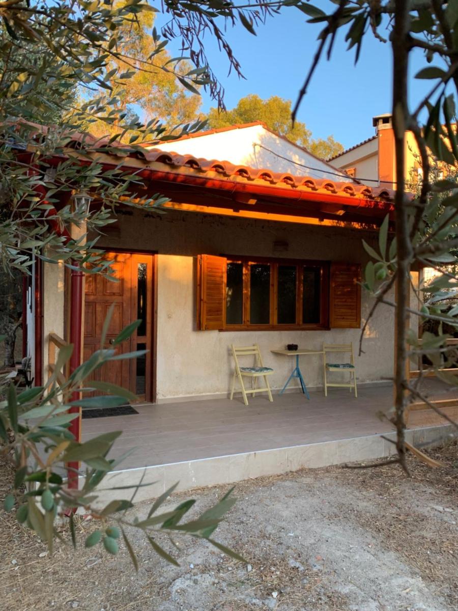 Olive Garden Home - Housity
