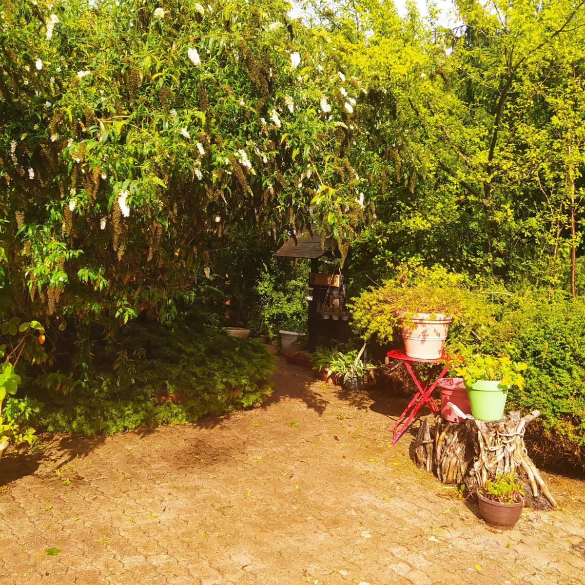 CABANE CERISE DANS L'ARBRE Etapeboisee - Housity