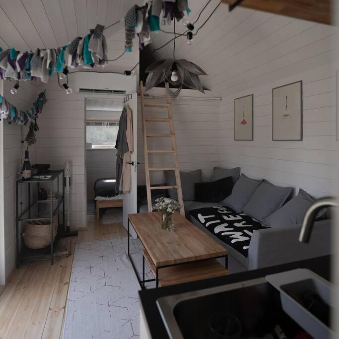 Baltie SPA family cottage by the lake - Housity