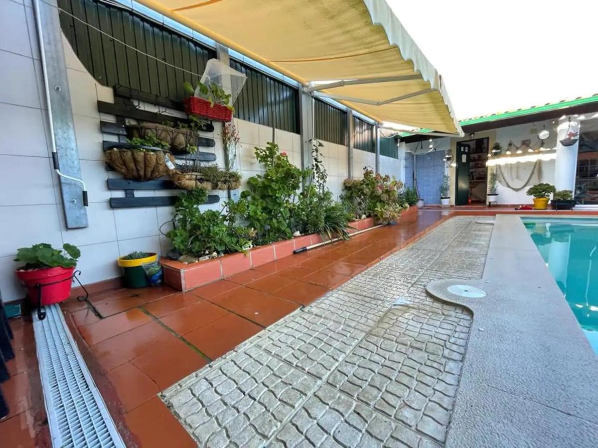 Casa das Flores - Housity