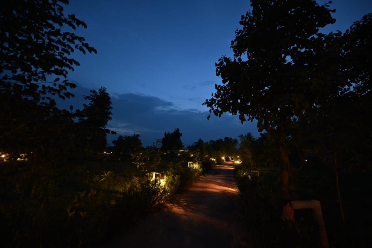 PENCH TIGER PLANET - Housity