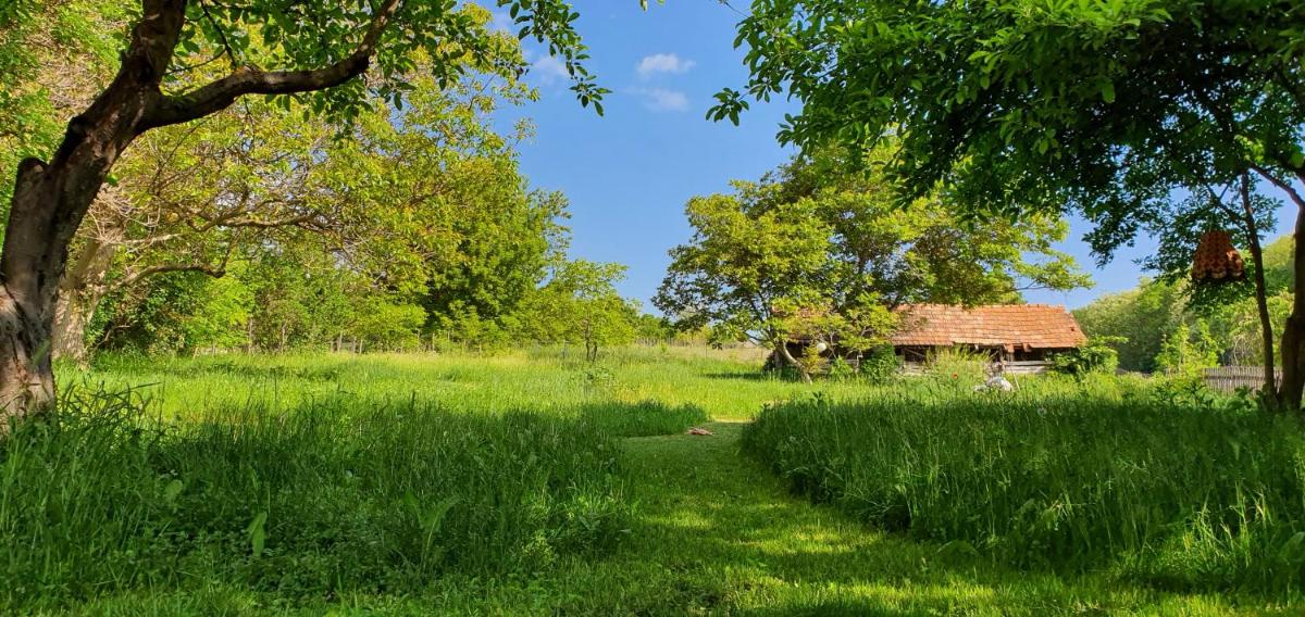 Garden Apartment Szolad - Balaton - Hizvo