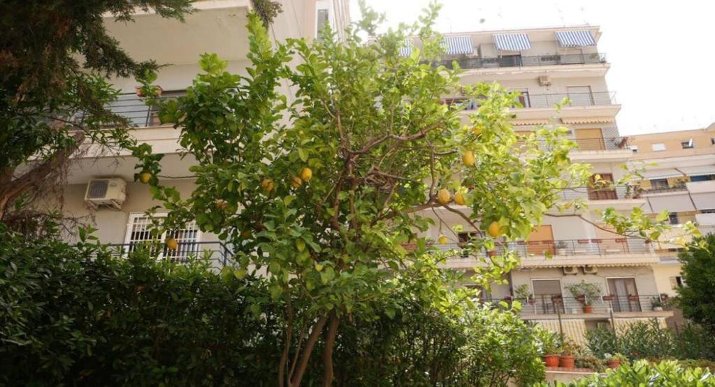 Suitetrails - House with garden and parking space in Mergellina