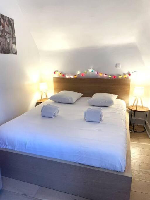 Le Cosy Jeannin - Housity