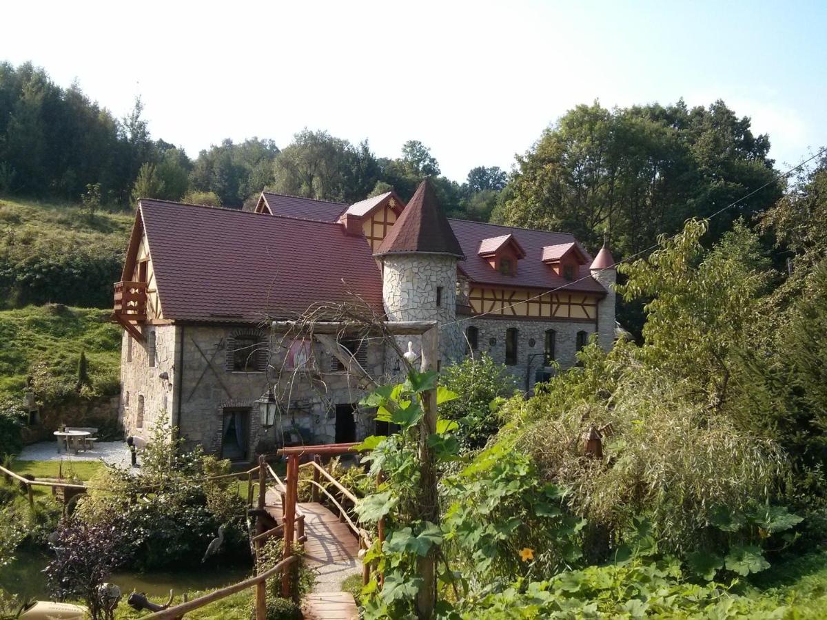 Zbójna Debra - Housity