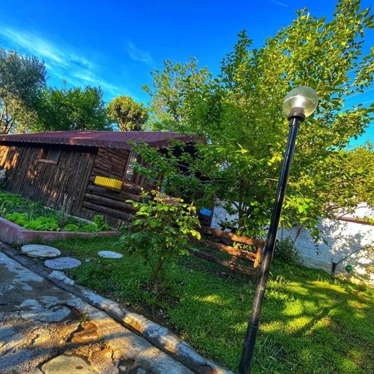 Zeytindağı bungalow - Housity