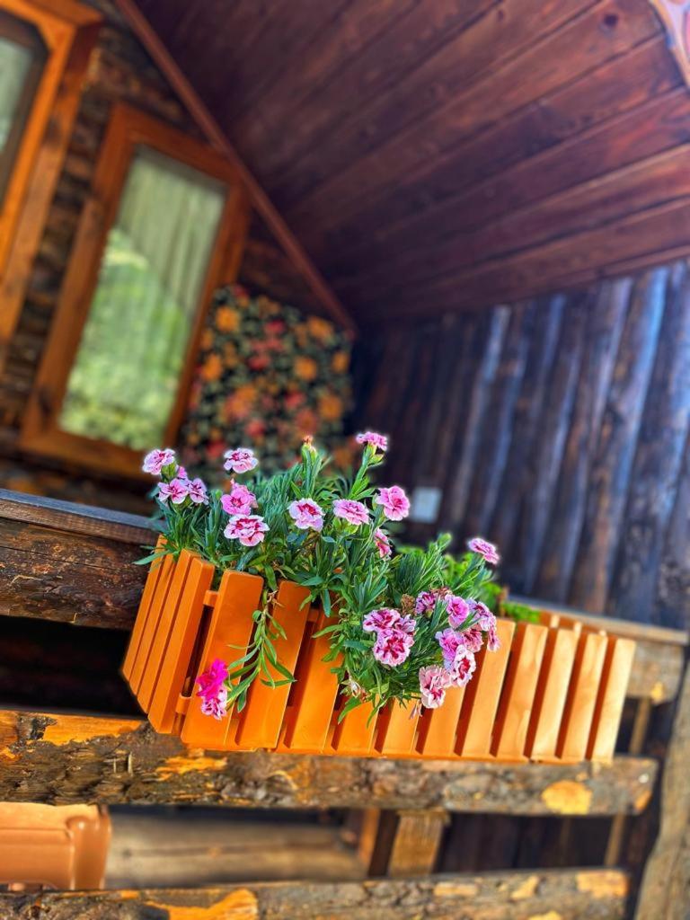 Zeytindağı bungalow - Housity