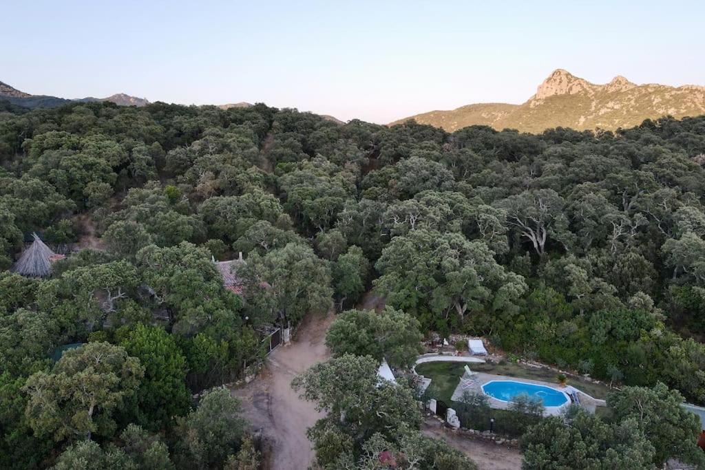 [Oschiri - Lago Coghinas] Super riservato con piscina - Housity