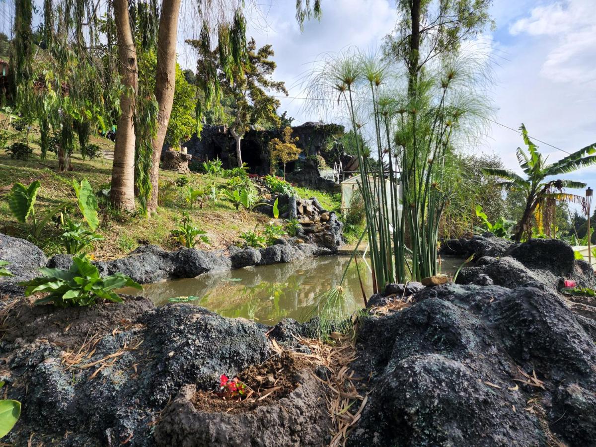 Glamping Spa & Coffee Tour - Housity