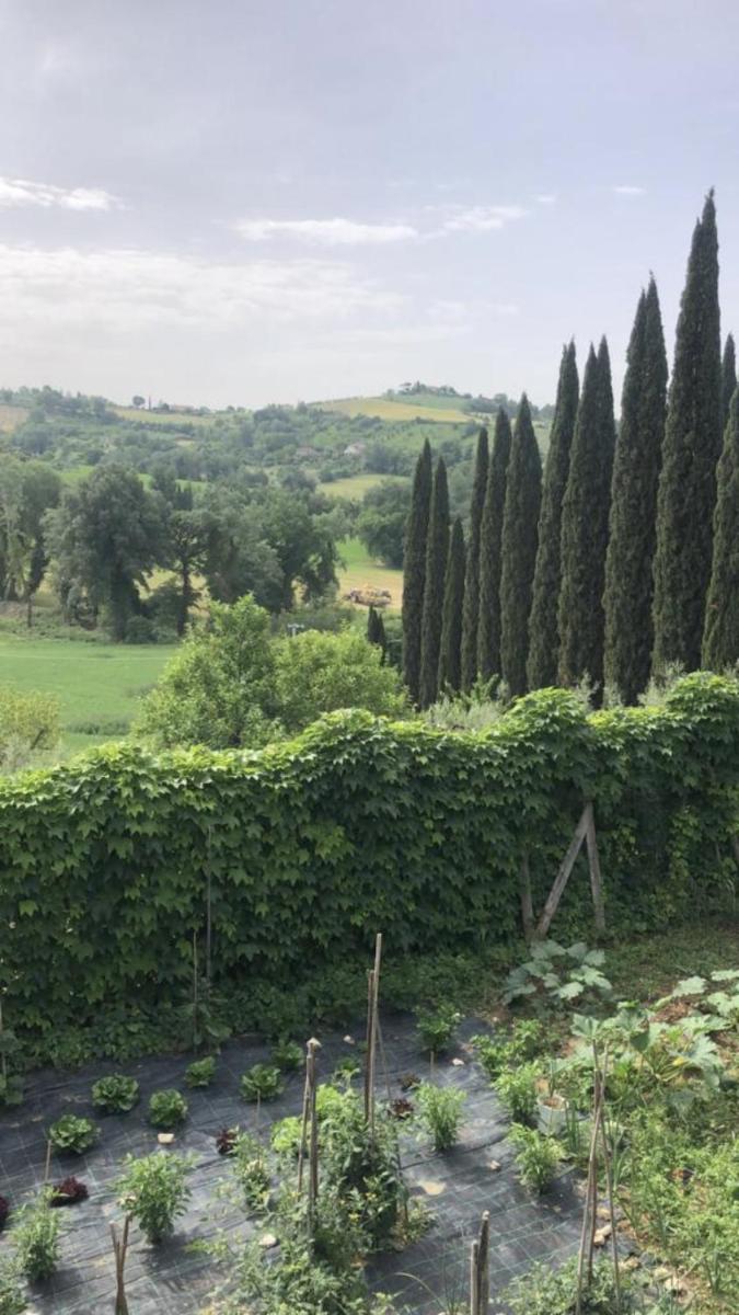 “La casa dei bifolchi” - Housity