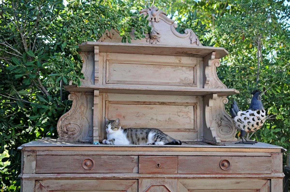 B&B La Terre Brûlée - Housity