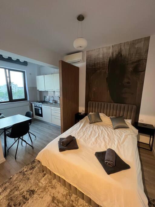 Lovely Apartments in Iasi City Center - Housity