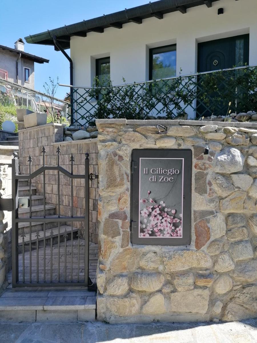 IL CILIEGIO DI ZOE - Housity