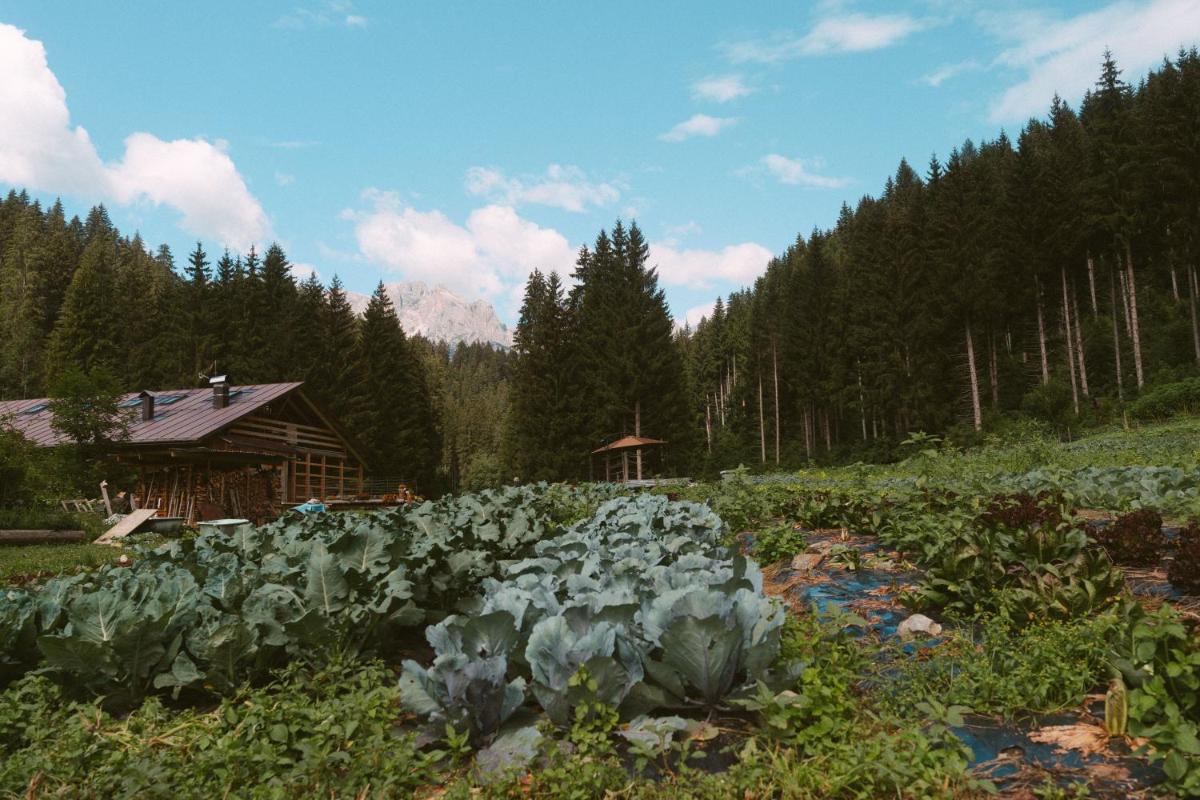 Lärchenwirt Dolomites - Housity