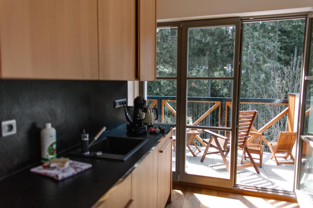 Luxusní horský apartmán v centru Harrachova - Housity