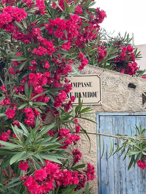 Petite maison rénovée- Niolon à la mer - Housity