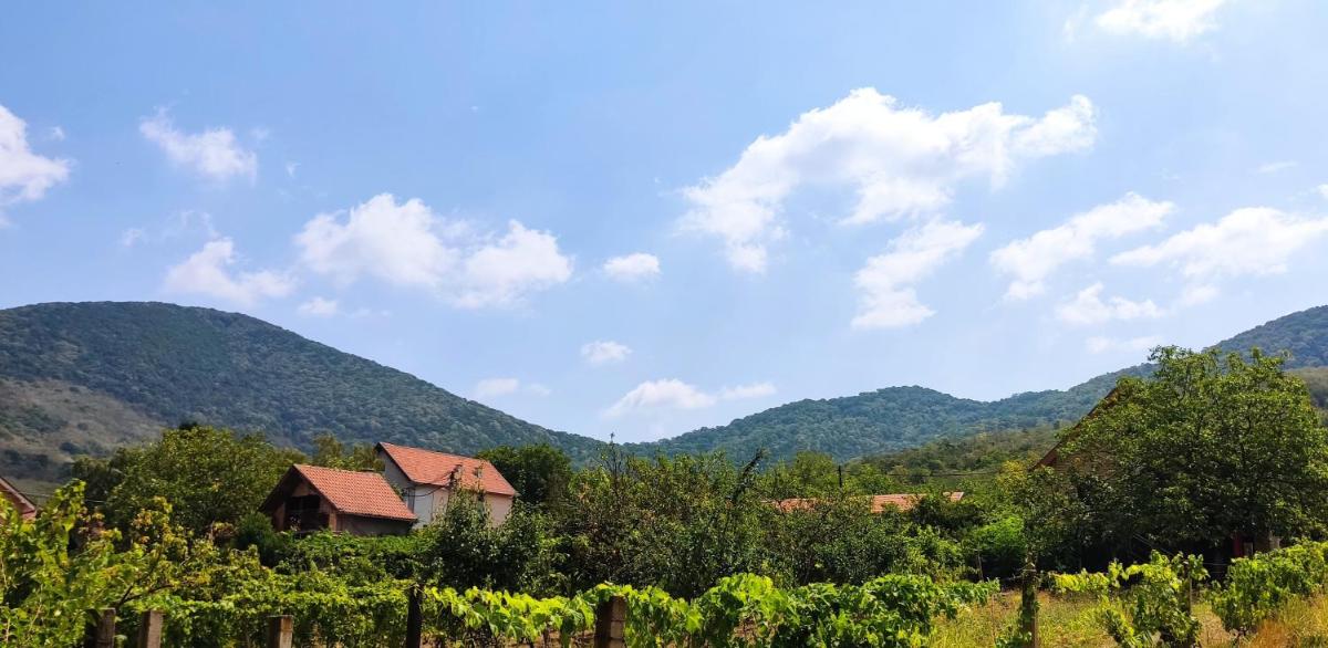 Kuća za odmor IZVOR Vršac - Housity