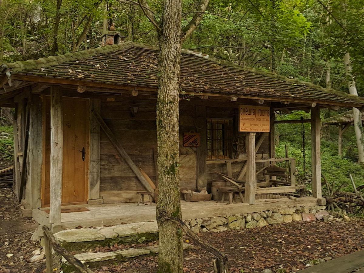Brvnara u planini - Housity