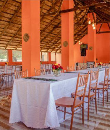 Kasbek Lodge & Tours - Housity