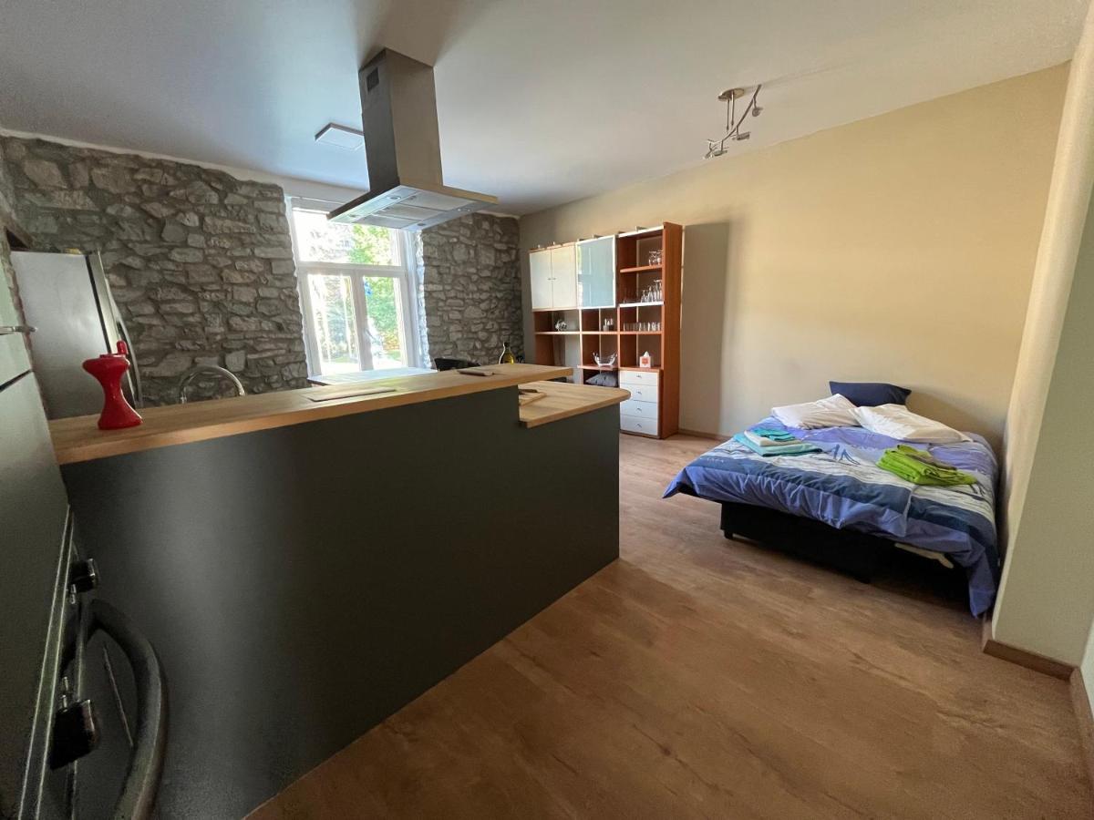 Aux Loups Blancs - Appartement - Hizvo