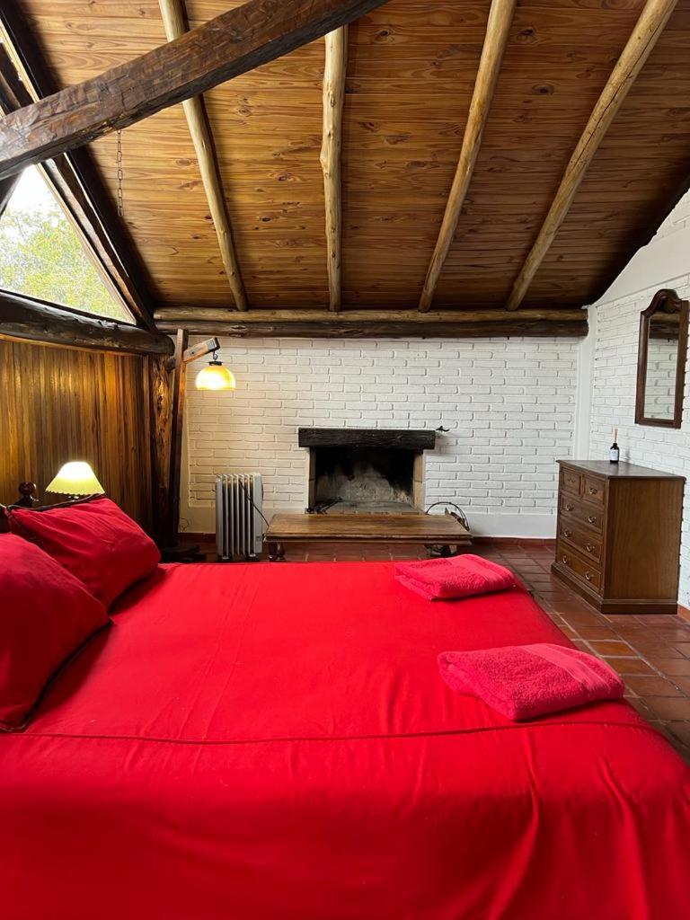 Loft de campo - Charas de Coria - Housity