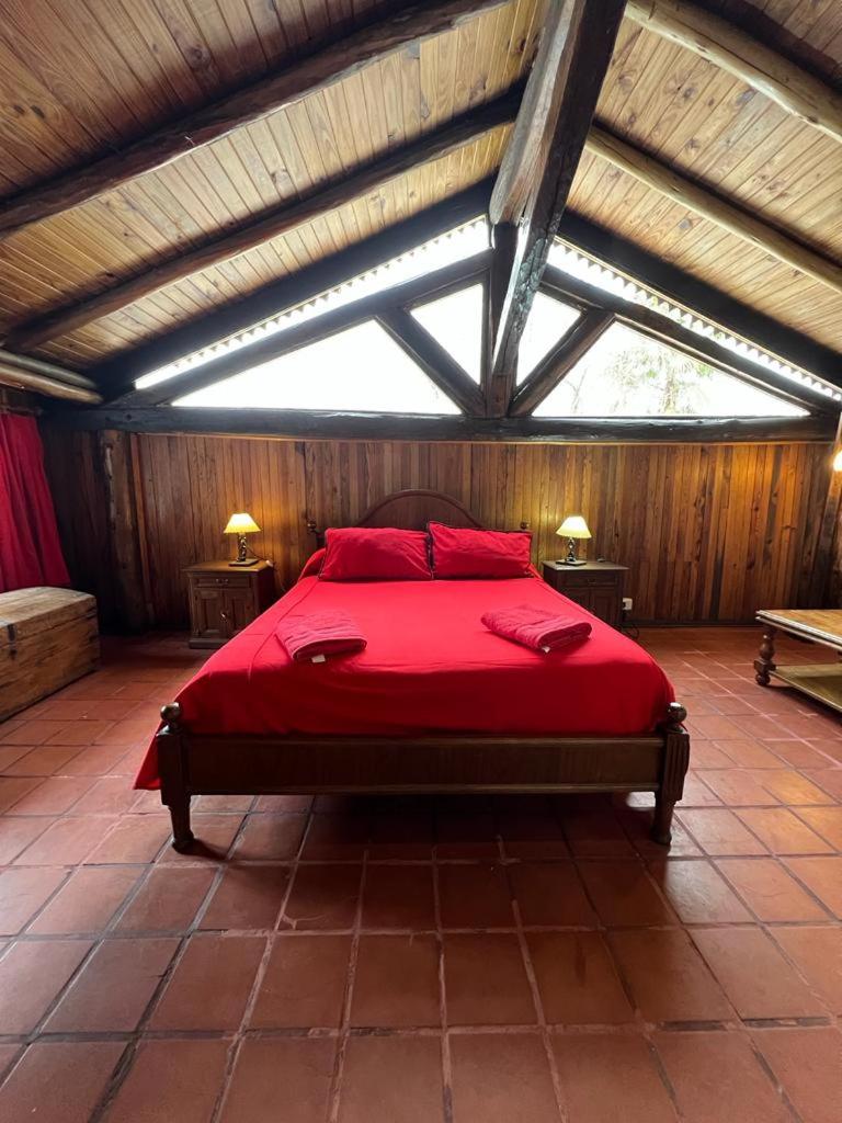 Loft de campo - Charas de Coria - Housity
